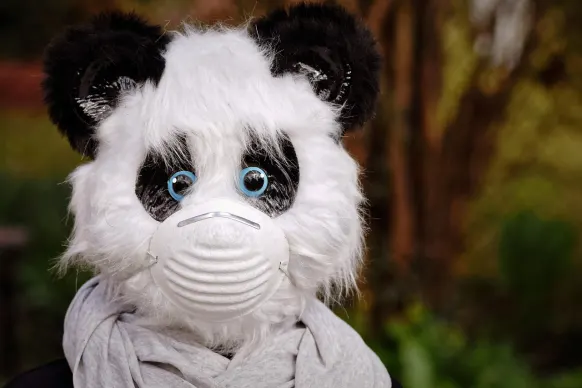 Oppa88888888 Casino Soporte